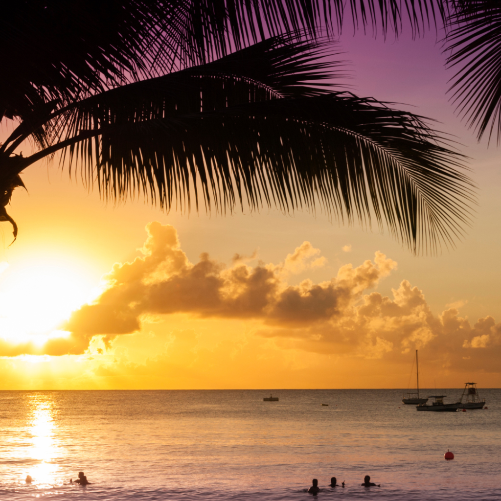 Beach sunset with palm trees with tourists in the water. Outdoor activities for families.